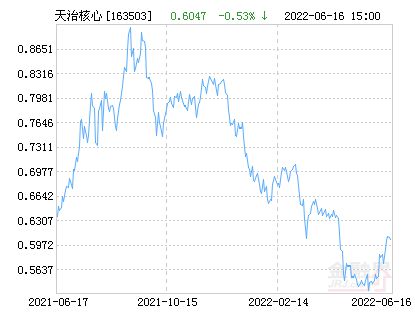 天治核成长净值最新动态，成长之路与未来展望分析