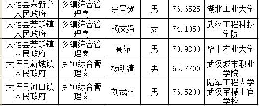 大悟最新干部公示公告发布，职务调整及人事变动揭晓