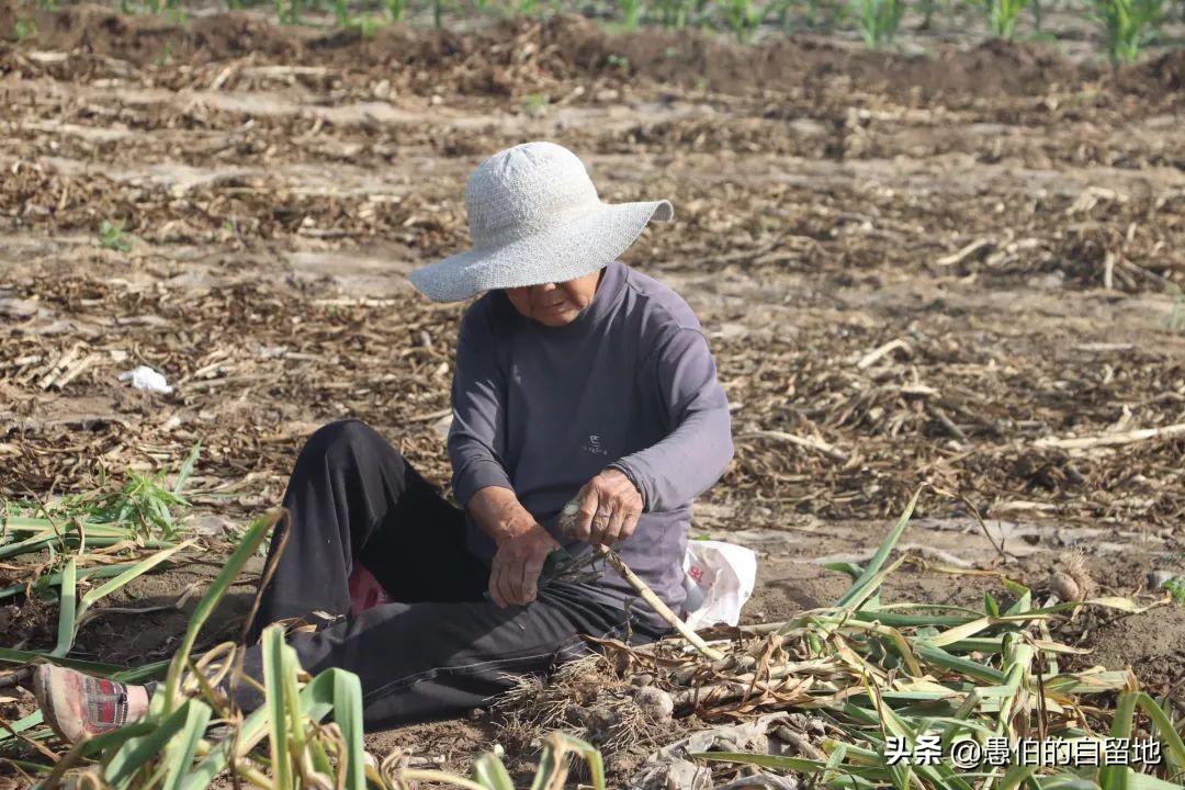 记地儿下载，数字时代地图应用之旅探索