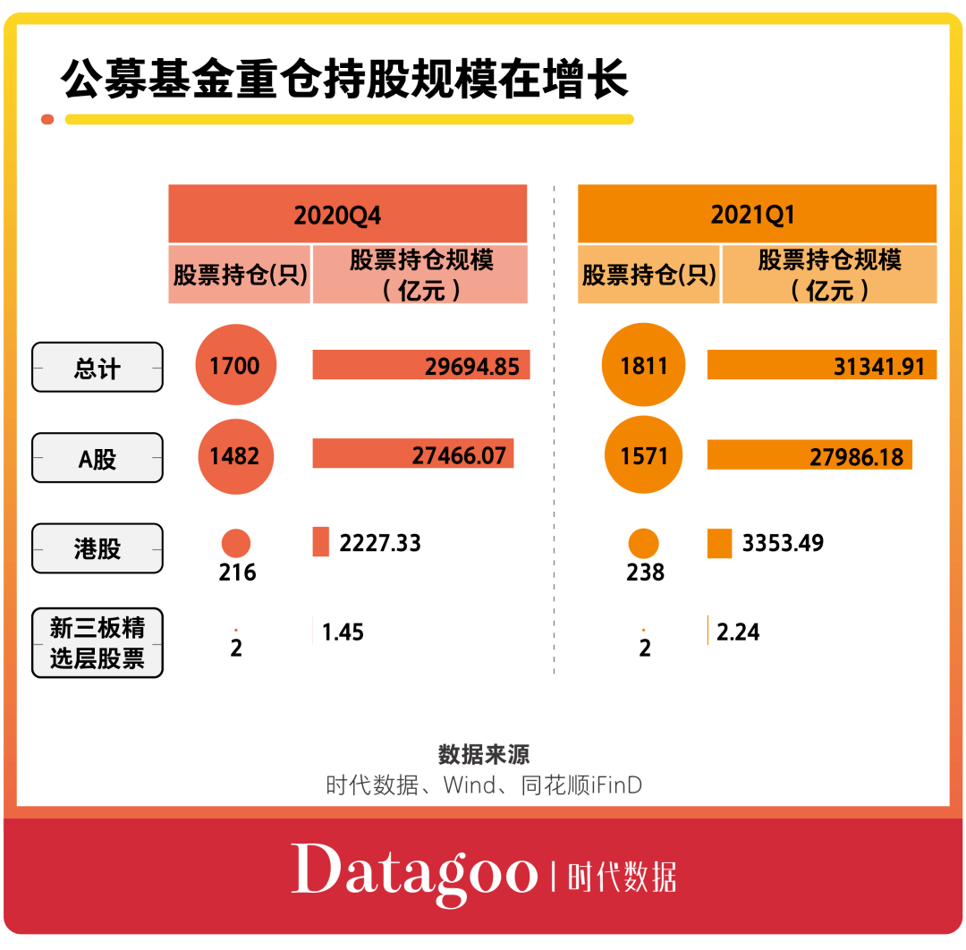 最新基金持仓分析，解读与未来展望