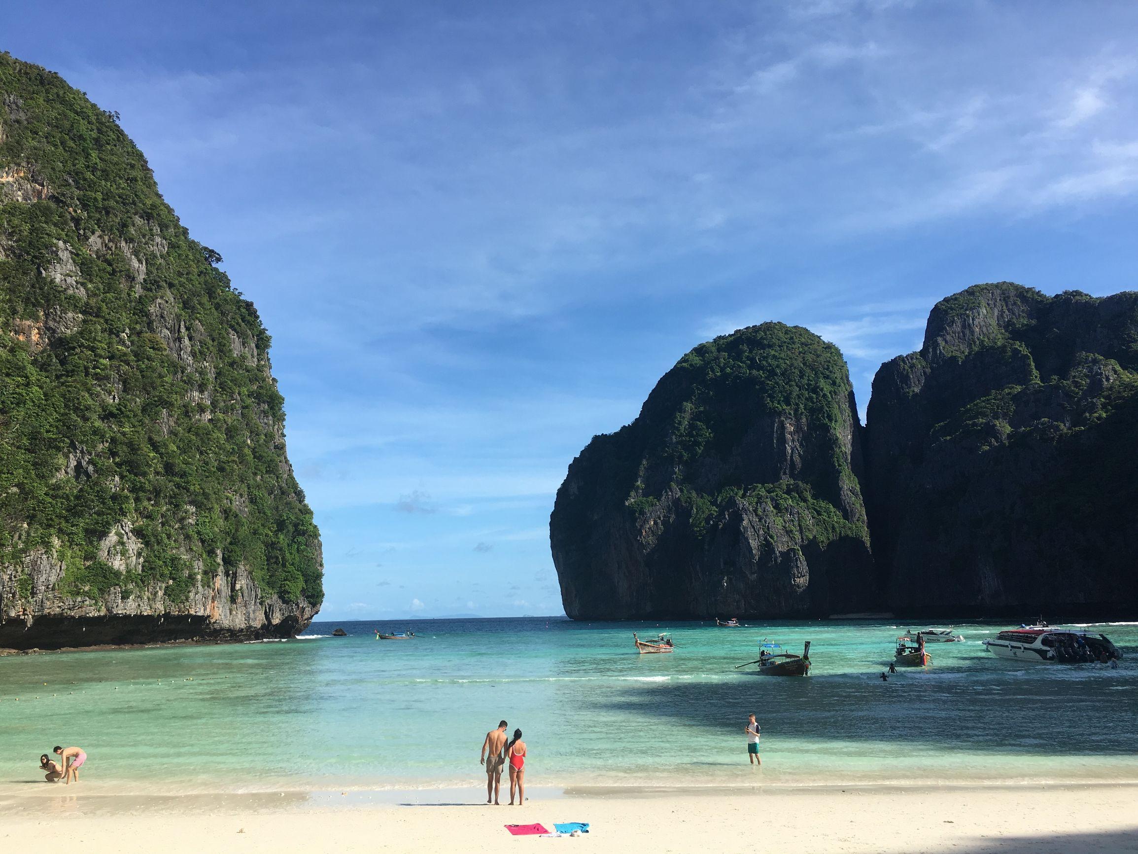 皮皮鱼下载，数字世界的宝藏探索之旅