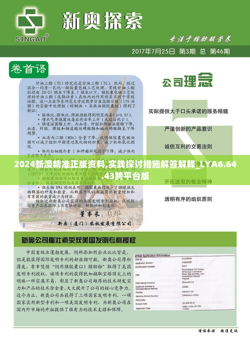 新澳2024年最新版资料,决策资料解释落实_进阶款13.815