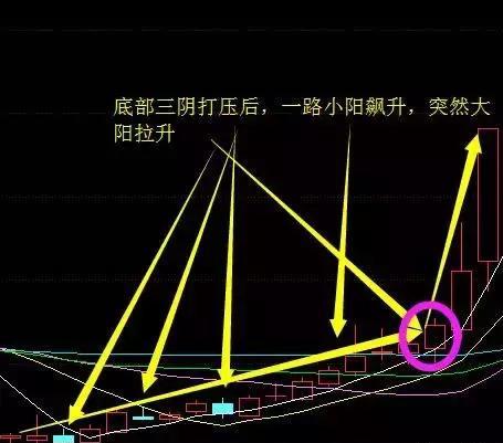 暮光之城 第5页