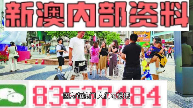 新澳门资料大全正版资料2024年免费下载,正确解答落实_Plus48.205