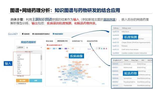 新澳精准资料免费提供网,数据支持策略分析_M版10.227