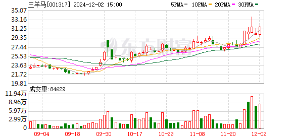 三肖三期必出特马,全面设计执行数据_W81.769