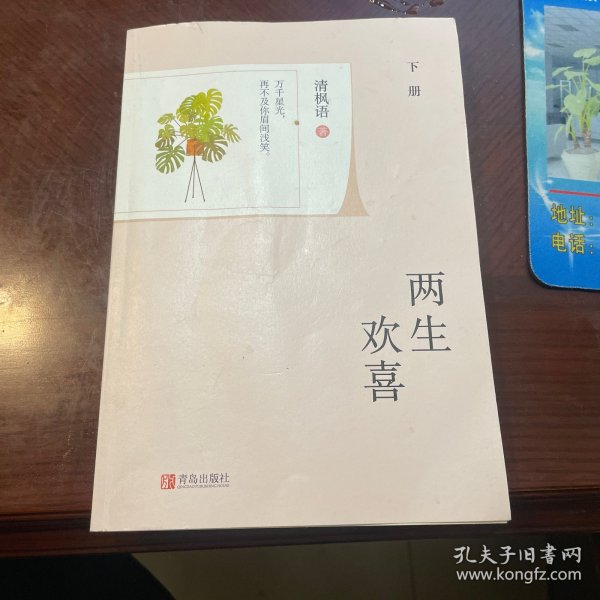 命运交织的喜悦与挑战，最新两生欢喜章节