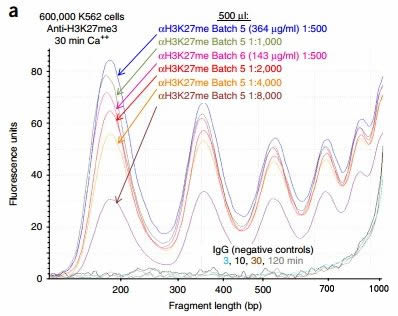 2468澳彩免费资料,数据驱动执行方案_CT21.408