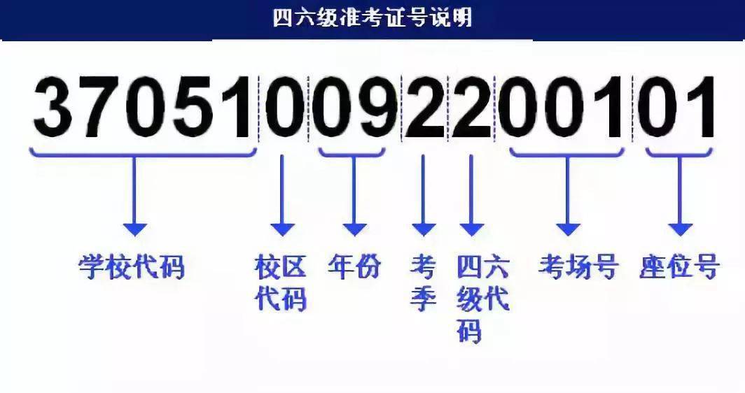 7777788888精准管家婆,快速解答计划解析_至尊版76.998