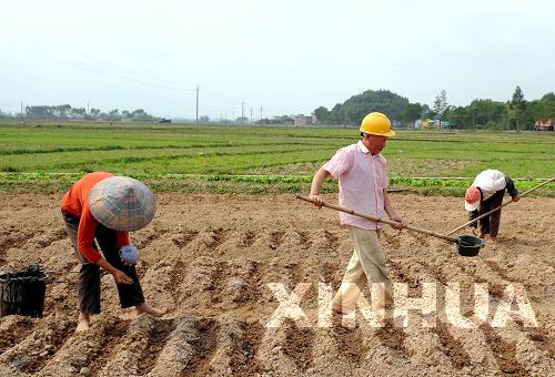 康熙岭镇新领导团队引领下的新气象展望