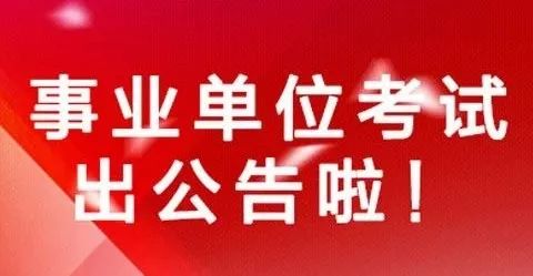 费县审计局最新招聘公告详解