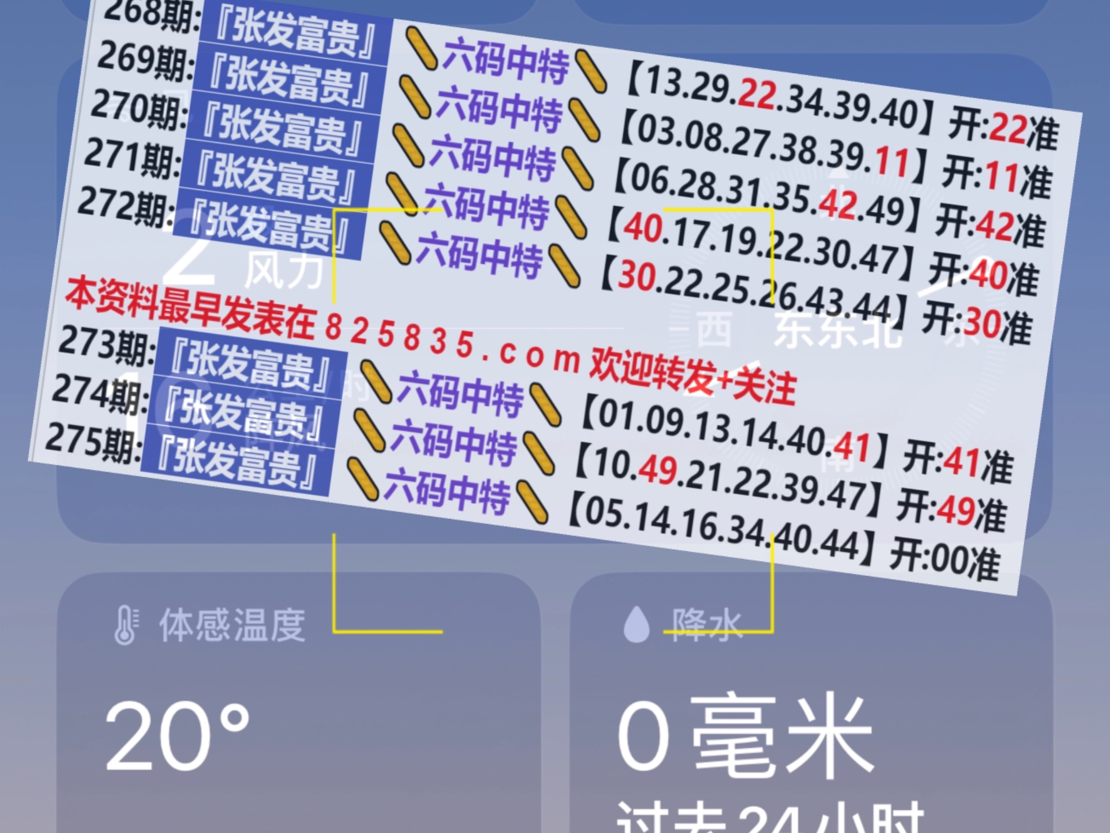 2024新奥门天天开好彩大全85期,经济性执行方案剖析_游戏版256.183