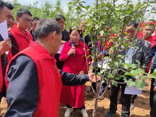 一心果树场最新天气预报信息汇总