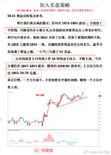 一肖一码100%-中,实用性执行策略讲解_Gold89.203