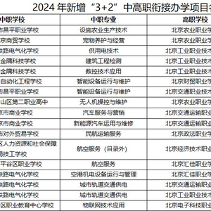 一码一肖一特一中2024,功能性操作方案制定_模拟版98.917