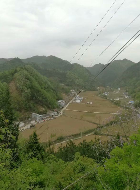 西坪乡天气预报更新通知