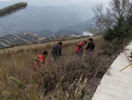 马家山村委会最新招聘启事概览