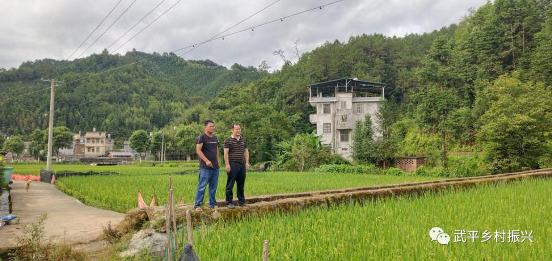 巴雁镇新项目，地区发展的强大驱动力