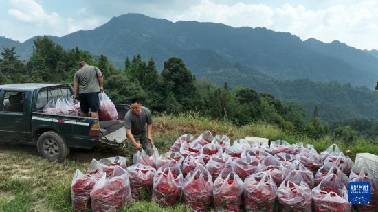 秀山土家族苗族自治县交通运输局领导团队最新概况