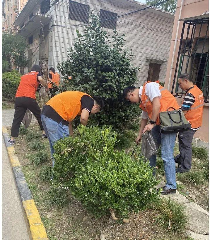 安丰社区居委会最新发展规划概览