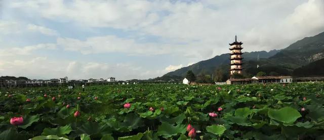 柳城畲族镇新项目，引领地方发展的强大动力源泉