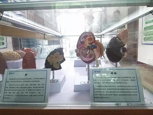 略阳县康复事业单位人事任命重塑团队力量，推动康复事业新进展