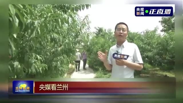 上丰乡交通新闻，交通建设助力地方经济腾飞