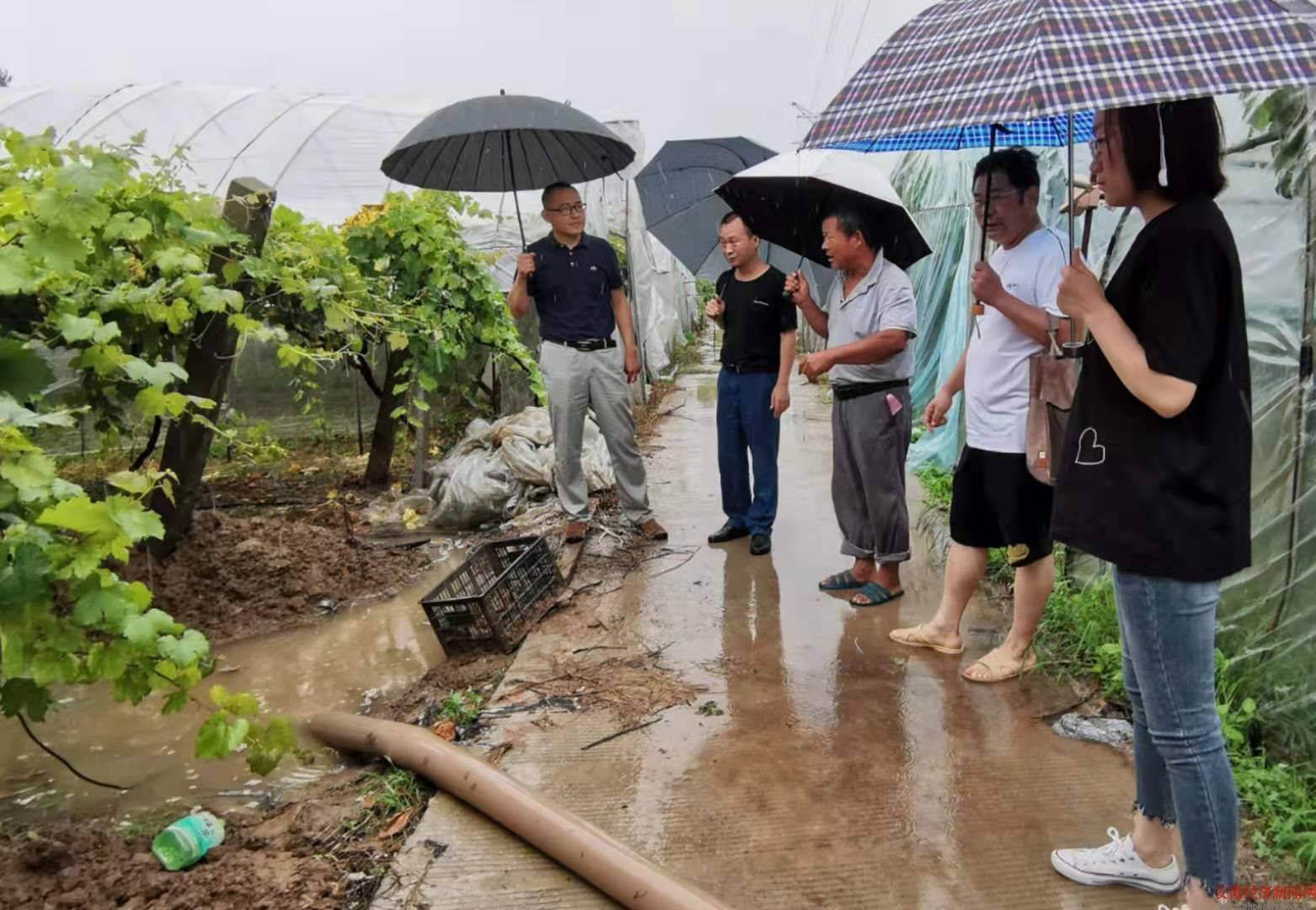 濉溪县农业农村局招聘启事概览