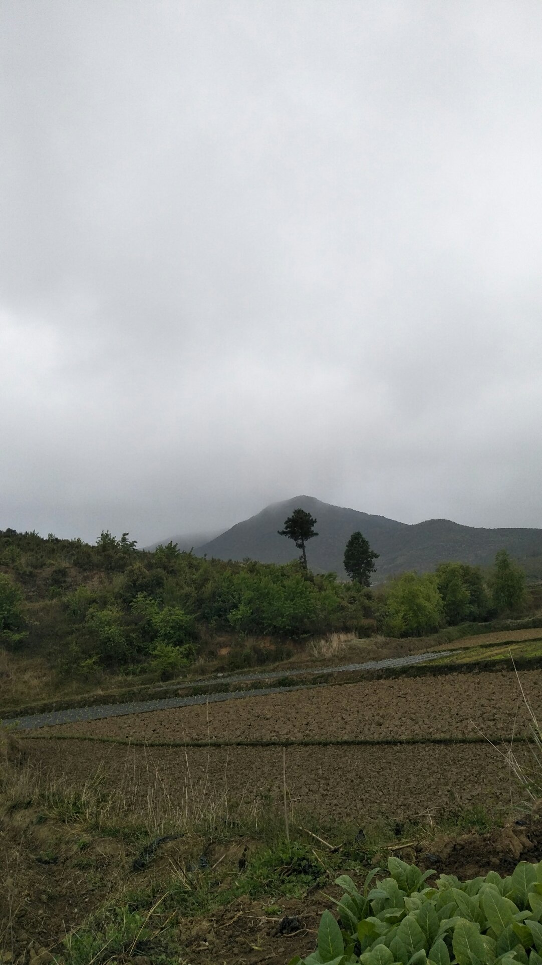 彼岸雨露 第2页