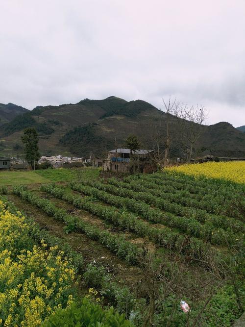 阜山乡天气预报更新通知