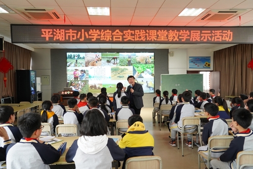 平湖市小学最新动态报道