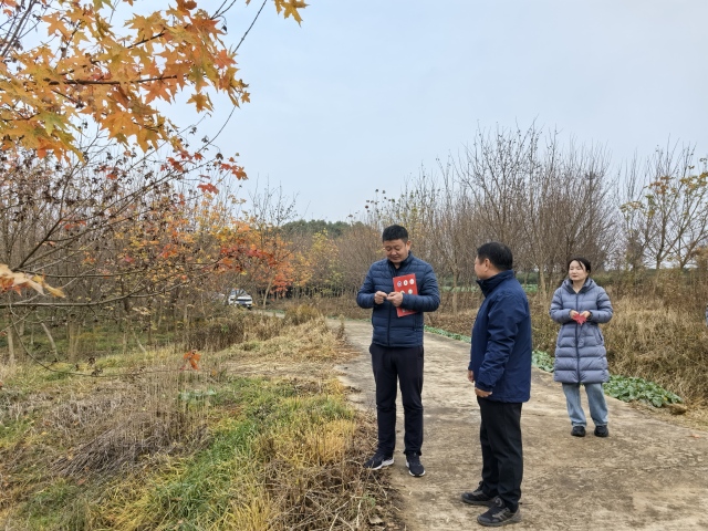 高淳县傅家坛林场最新动态报道