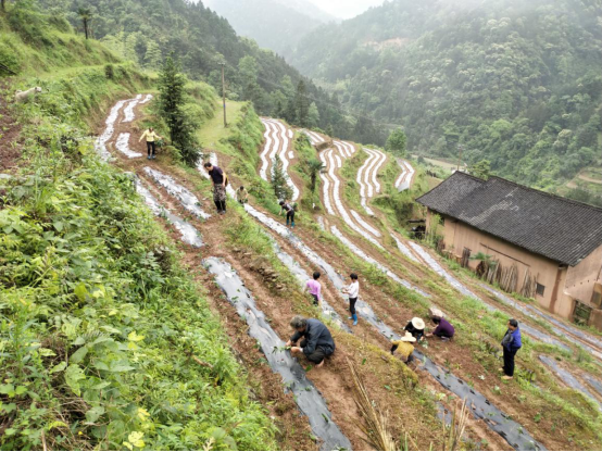 沿河土家族自治县自然资源和规划局最新动态报道