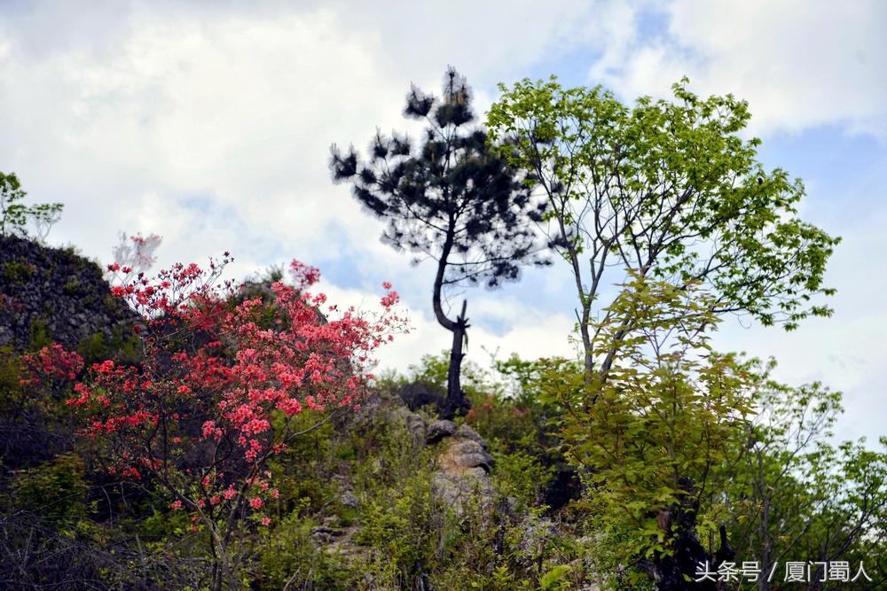 大山川村委会乡村振兴与社区发展新动态纪实