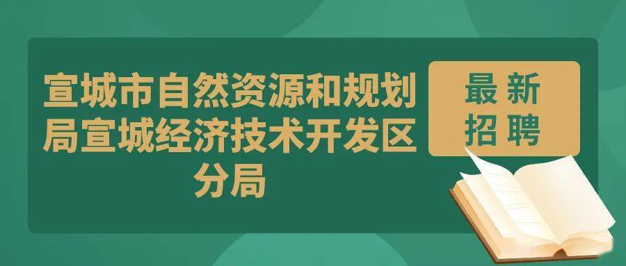 甘井子区自然资源和规划局最新招聘全解析