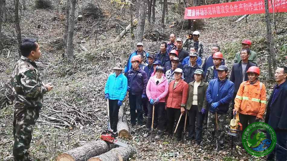 阁山林场最新新闻动态报道