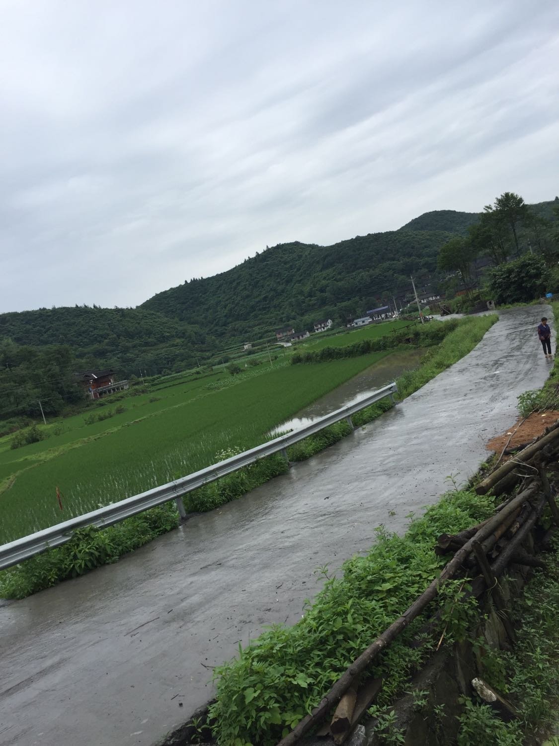 小溪乡天气预报更新通知