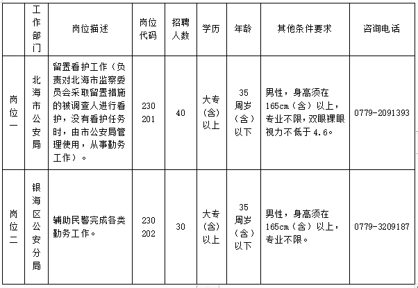 隆安县公安局最新招聘公告详解