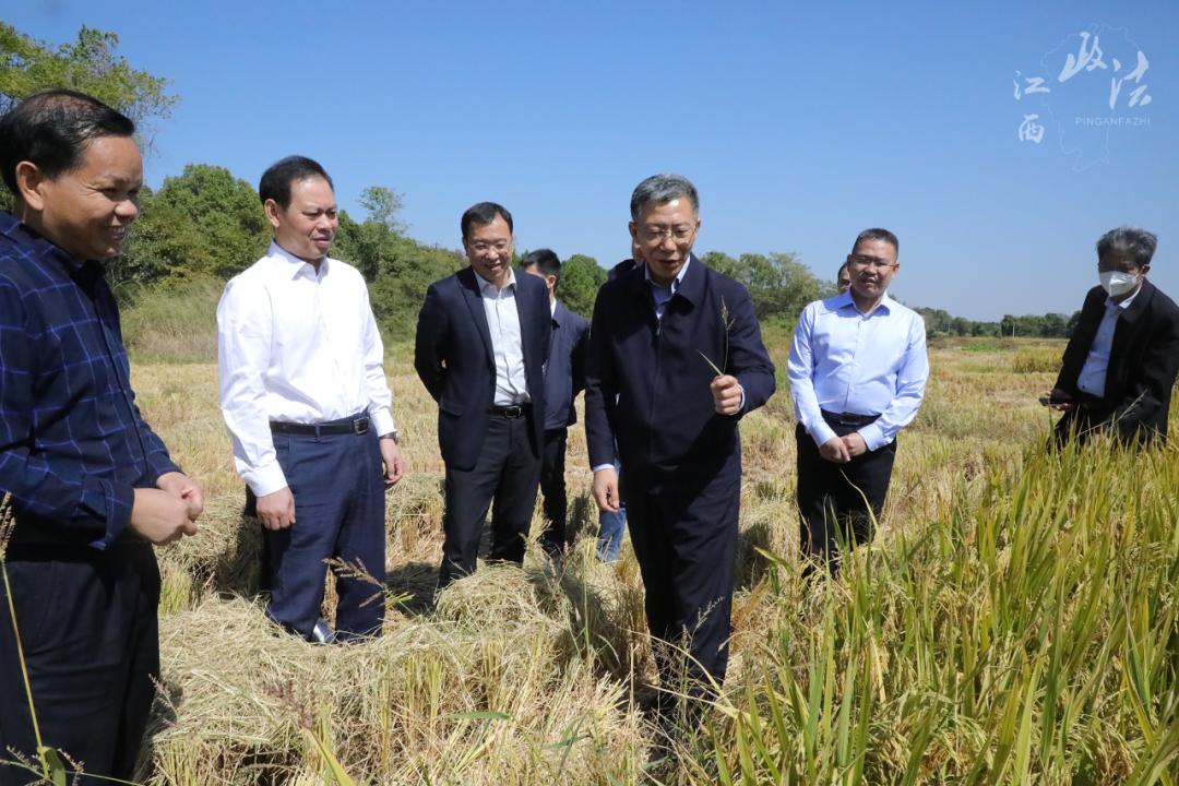 吉安市市法制办公室最新动态报道