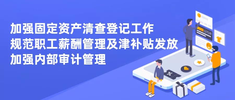 临海市审计局最新项目深度解析报告发布